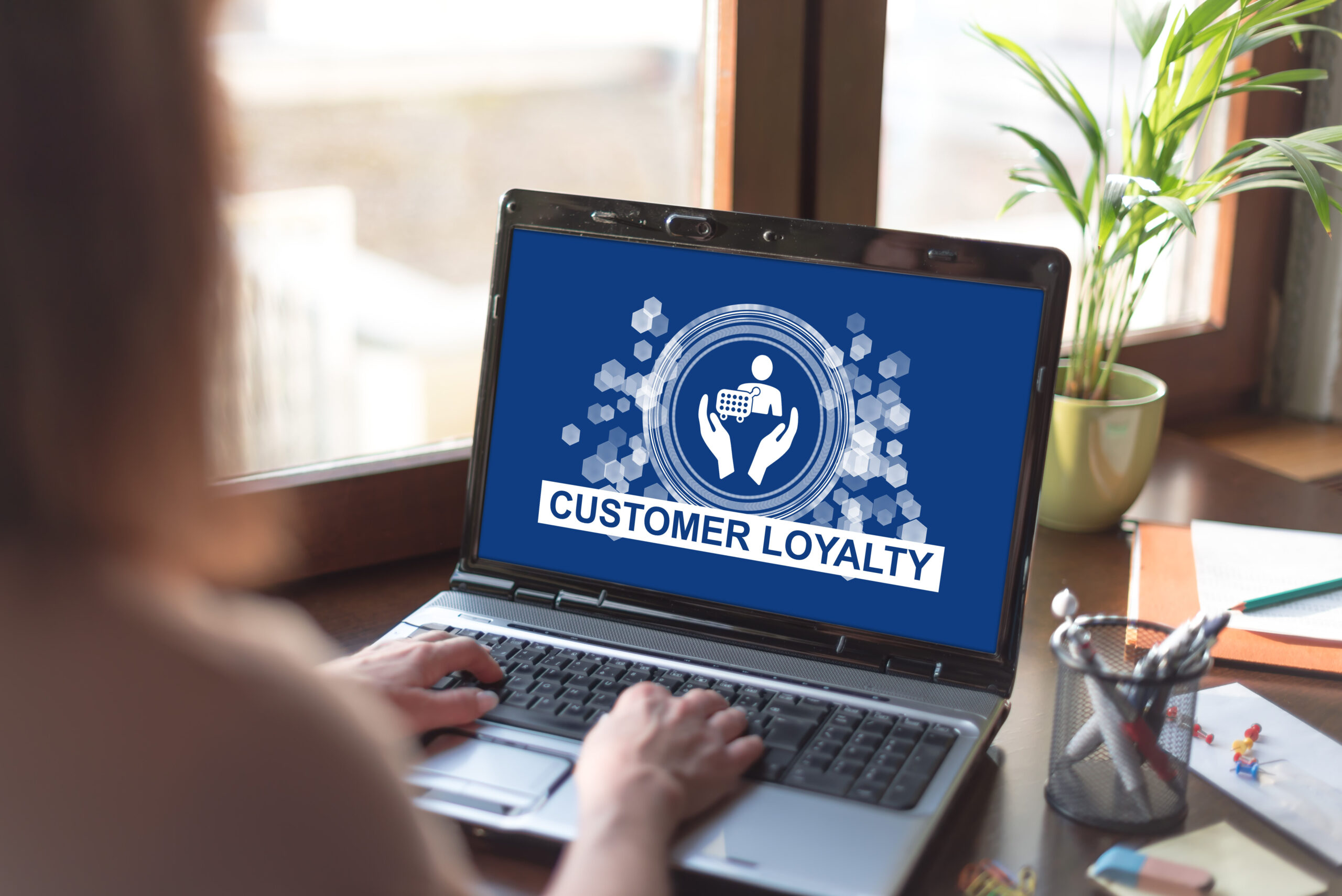 franchise merchant services customer loyalty database